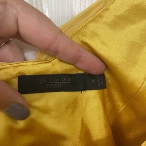 The Limited Event cocktail dress